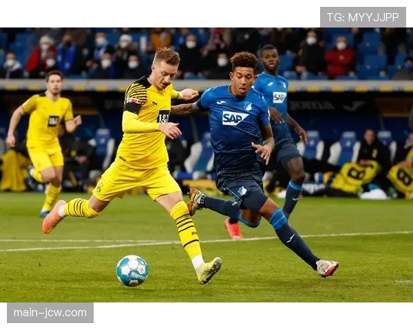 霍芬海姆阿斯拉尼进球上双 成球队进攻核心